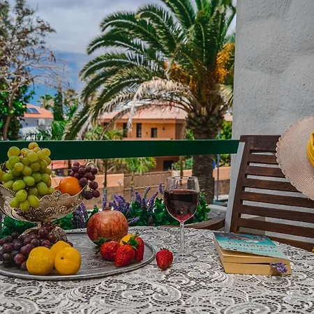 Appartement Cozy - 150 Meters From The Beach, Free Wi-fi Playa de las Américas